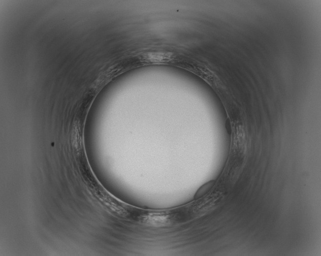 X0000080670651200701121634