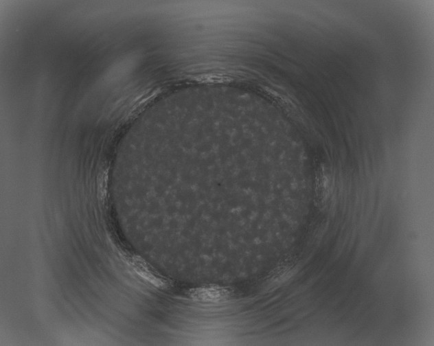 X0000080670652200701121634