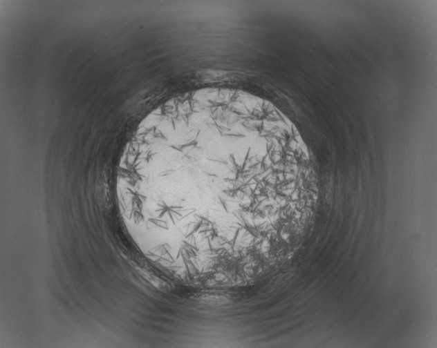 X0000080670653200701121634