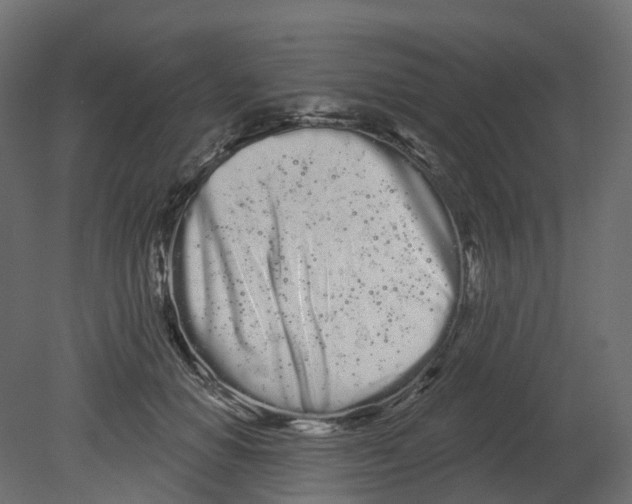 X0000080670654200701121634