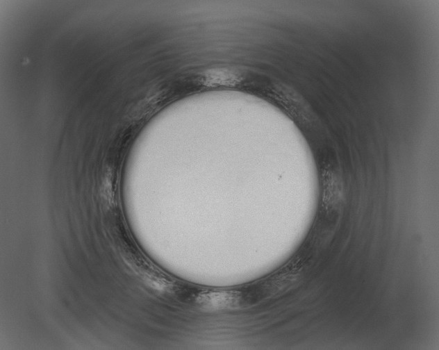 X0000080670655200701121634