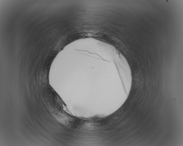 X0000080670657200701121634