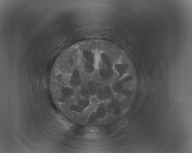 X0000080670658200701121634