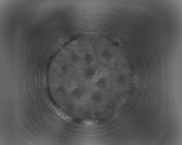 X0000080670662200701121634