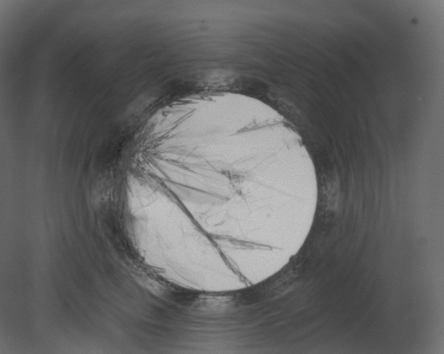 X0000080670665200701121634