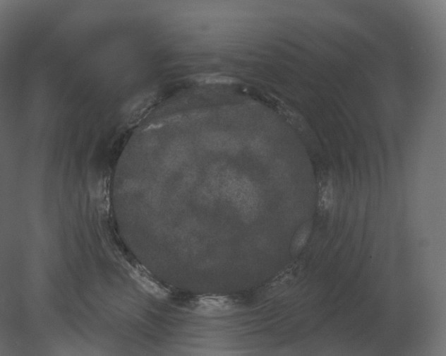 X0000080670666200701121634