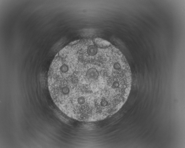 X0000080670669200701121634