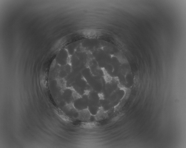 X0000080670671200701121634