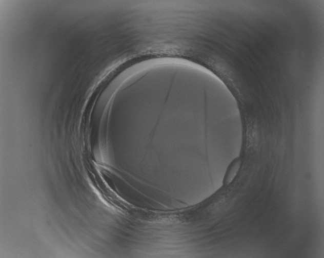 X0000080670674200701121633