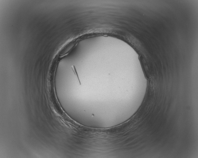 X0000080670676200701121633