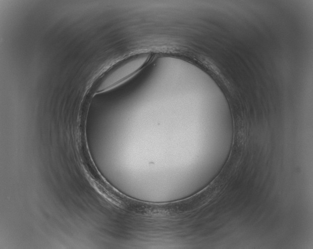 X0000080670677200701121633