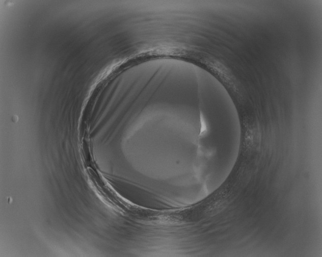 X0000080670678200701121633