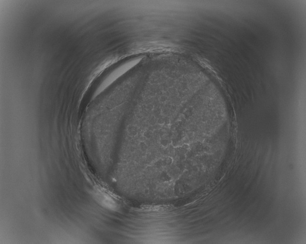 X0000080670679200701121633