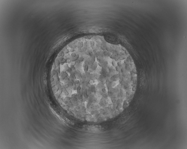 X0000080670683200701121633