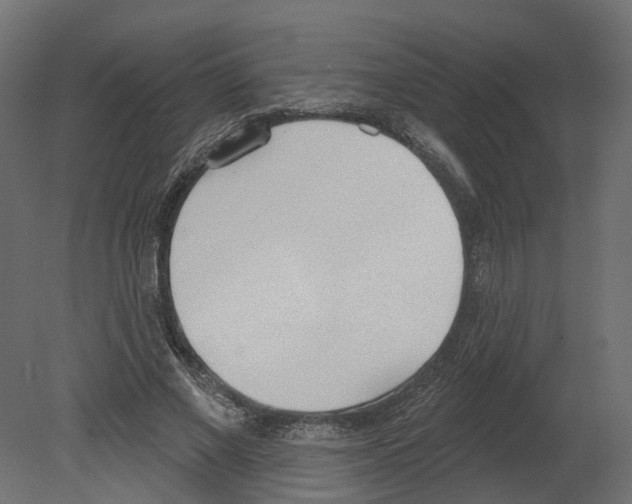 X0000080670685200701121633