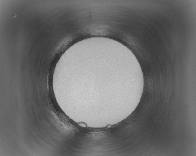 X0000080670686200701121633