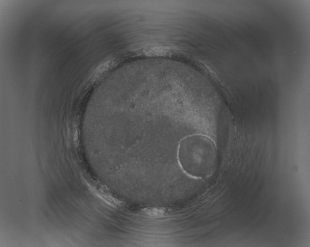 X0000080670687200701121633