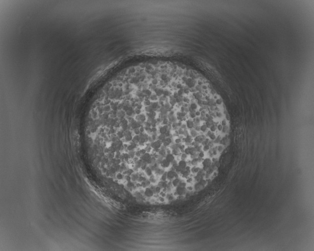 X0000080670688200701121633