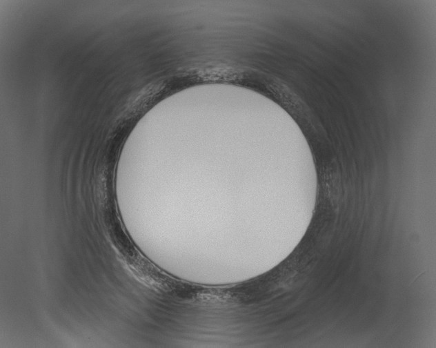 X0000080670690200701121633