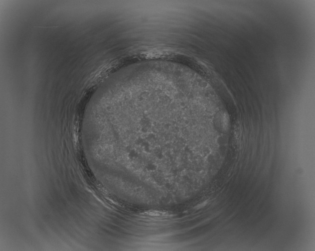 X0000080670691200701121633