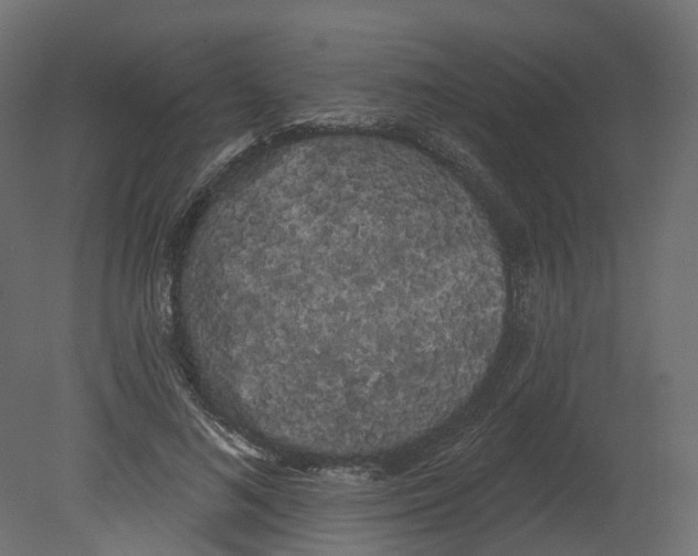 X0000080670692200701121633