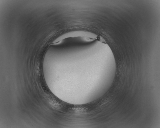 X0000080670693200701121633