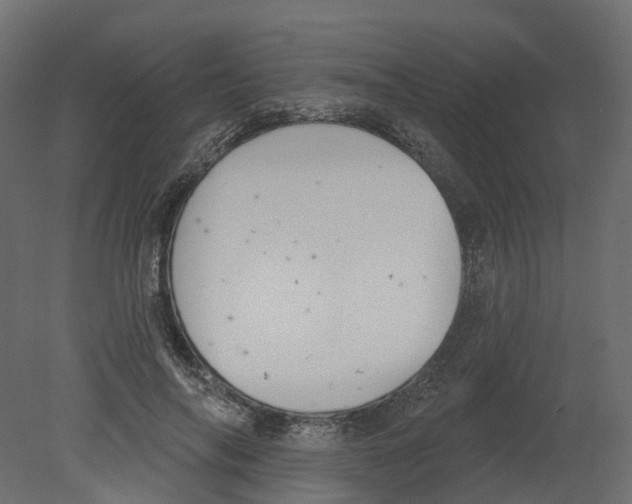 X0000080670694200701121633