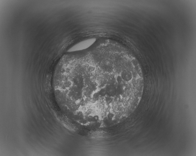 X0000080670695200701121633