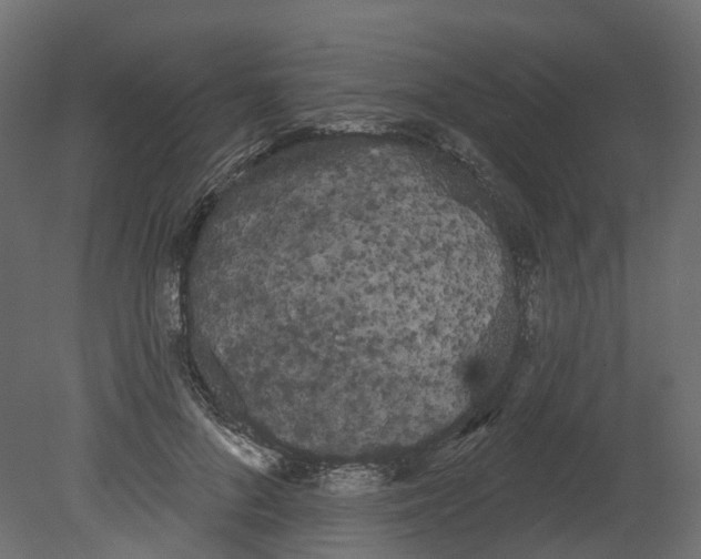 X0000080670696200701121633