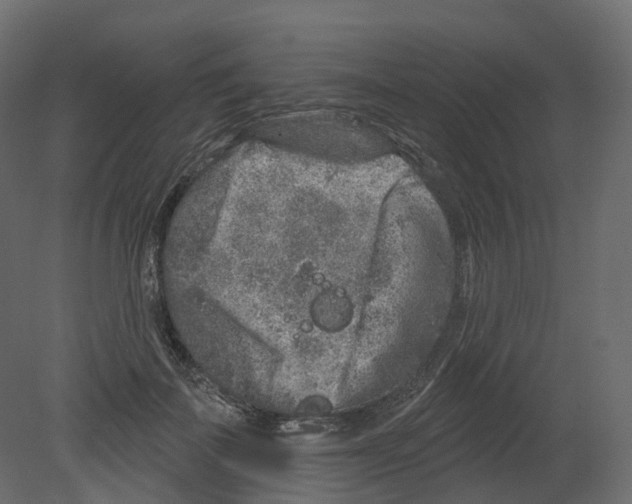 X0000080670699200701121633