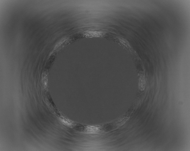 X0000080670701200701121633