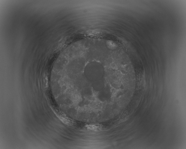 X0000080670703200701121633