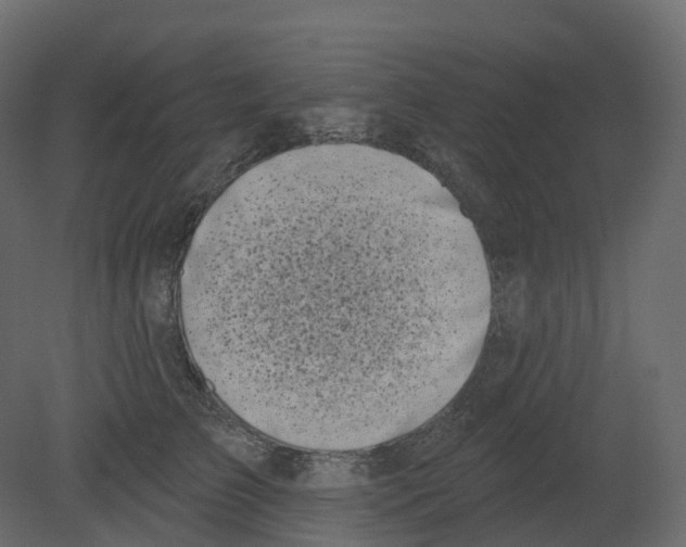 X0000080670709200701121633