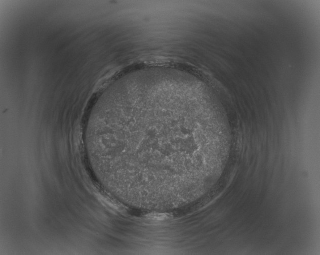 X0000080670711200701121633