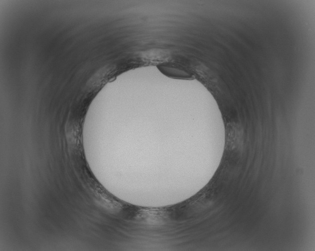 X0000080670713200701121632