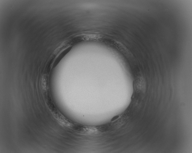 X0000080670715200701121632