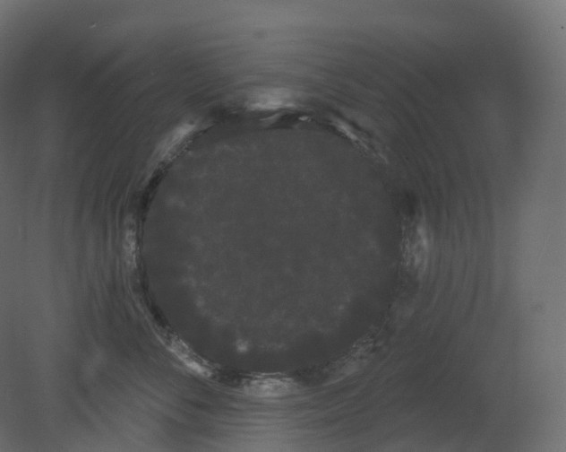 X0000080670716200701121632