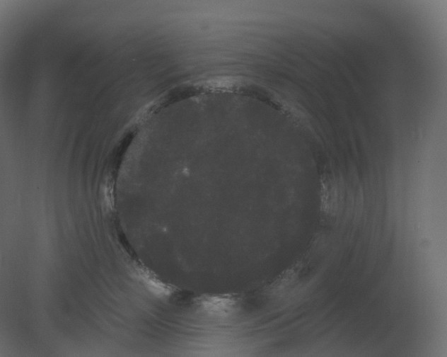 X0000080670718200701121632