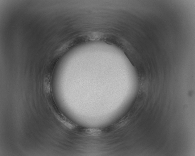 X0000080670719200701121632