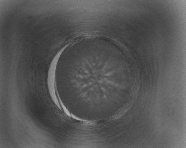 X0000080670720200701121632