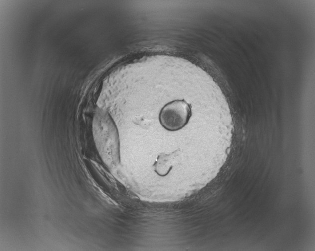 X0000080670721200701121632