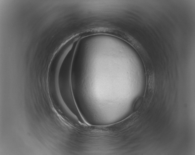 X0000080670722200701121632