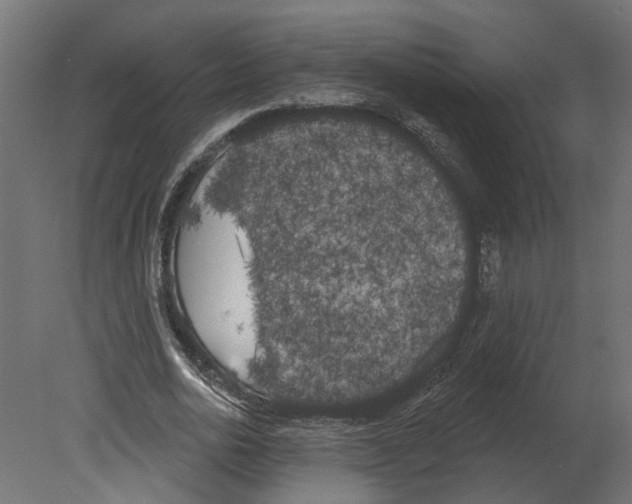 X0000080670726200701121632