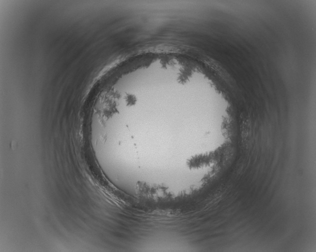 X0000080670727200701121632