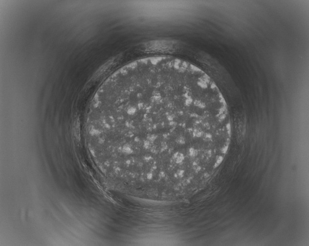 X0000080670729200701121632