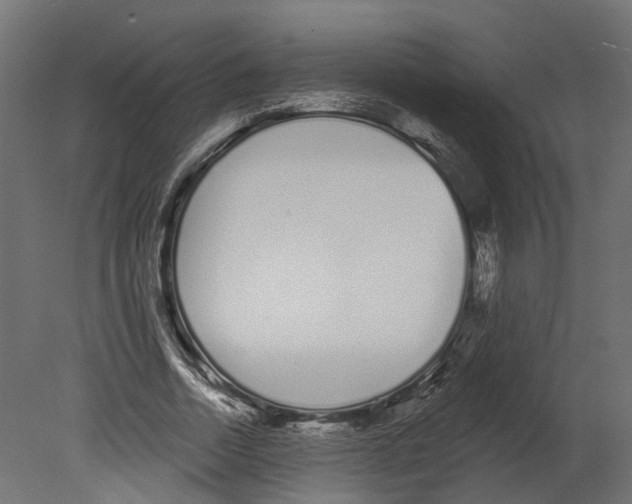 X0000080670730200701121632