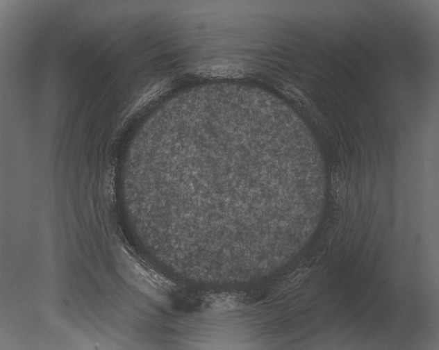 X0000080670735200701121632