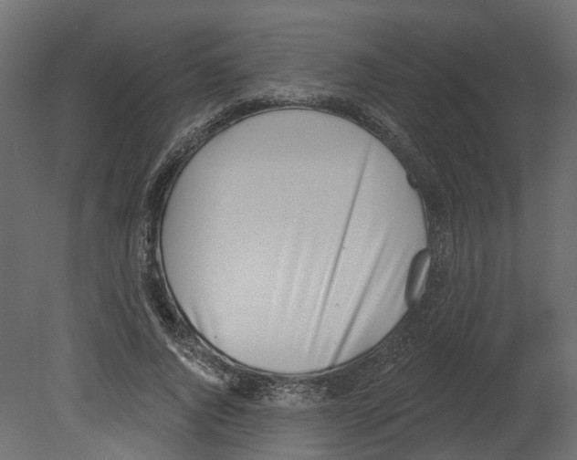 X0000080670736200701121632