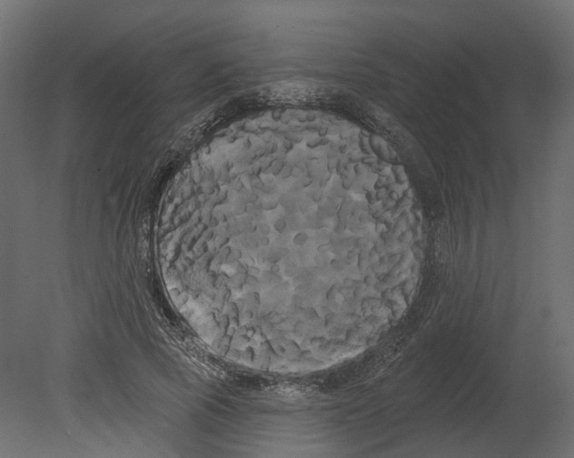 X0000080670737200701121632