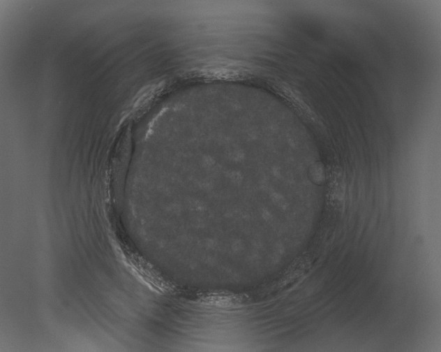 X0000080670738200701121632